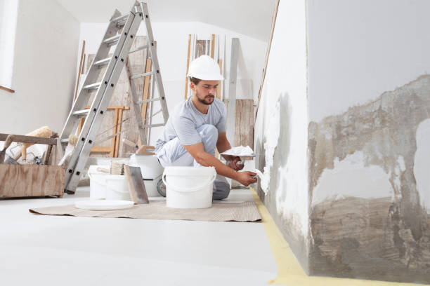 Best Residential Painting  in USA